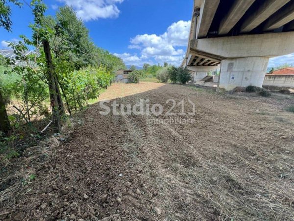 terreno agricolo in vendita a Montevarchi