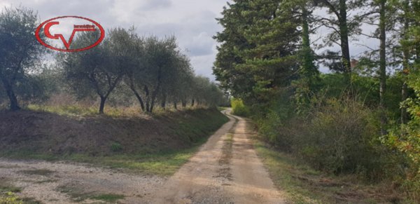 casa indipendente in vendita a Montevarchi