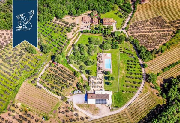 negozio in vendita a Montevarchi