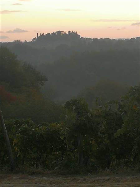 casa indipendente in vendita a Montevarchi