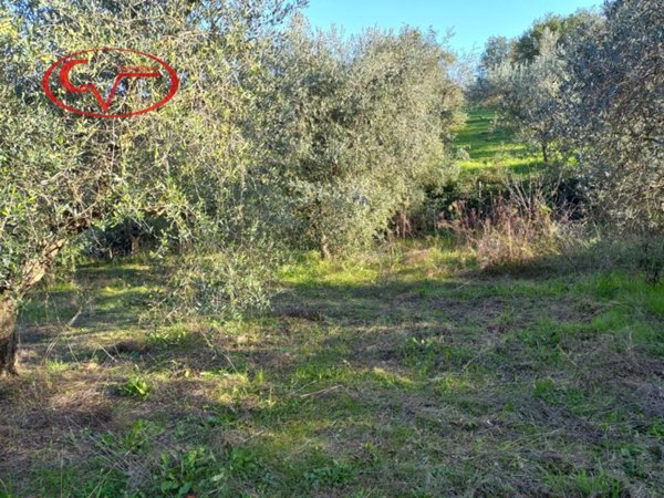 terreno agricolo in vendita a Montevarchi in zona Ventena