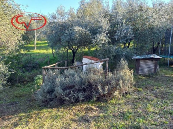 terreno agricolo in vendita a Montevarchi in zona Ventena