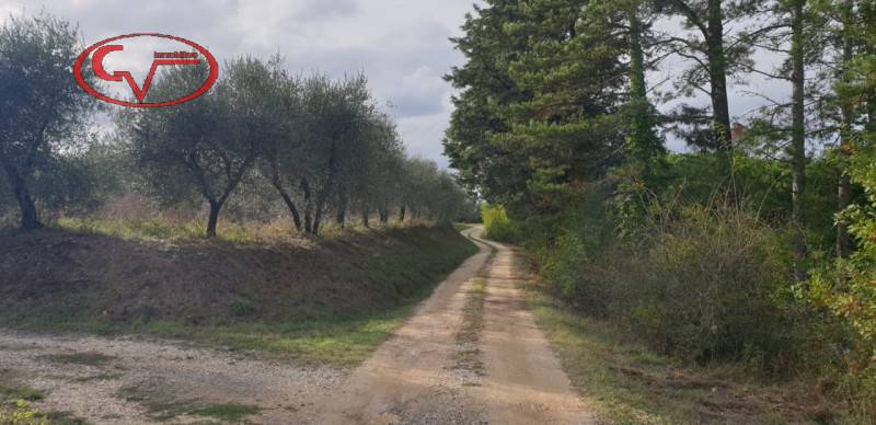 casa indipendente in vendita a Montevarchi