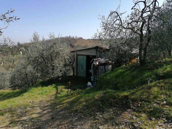 terreno agricolo in vendita a Montevarchi