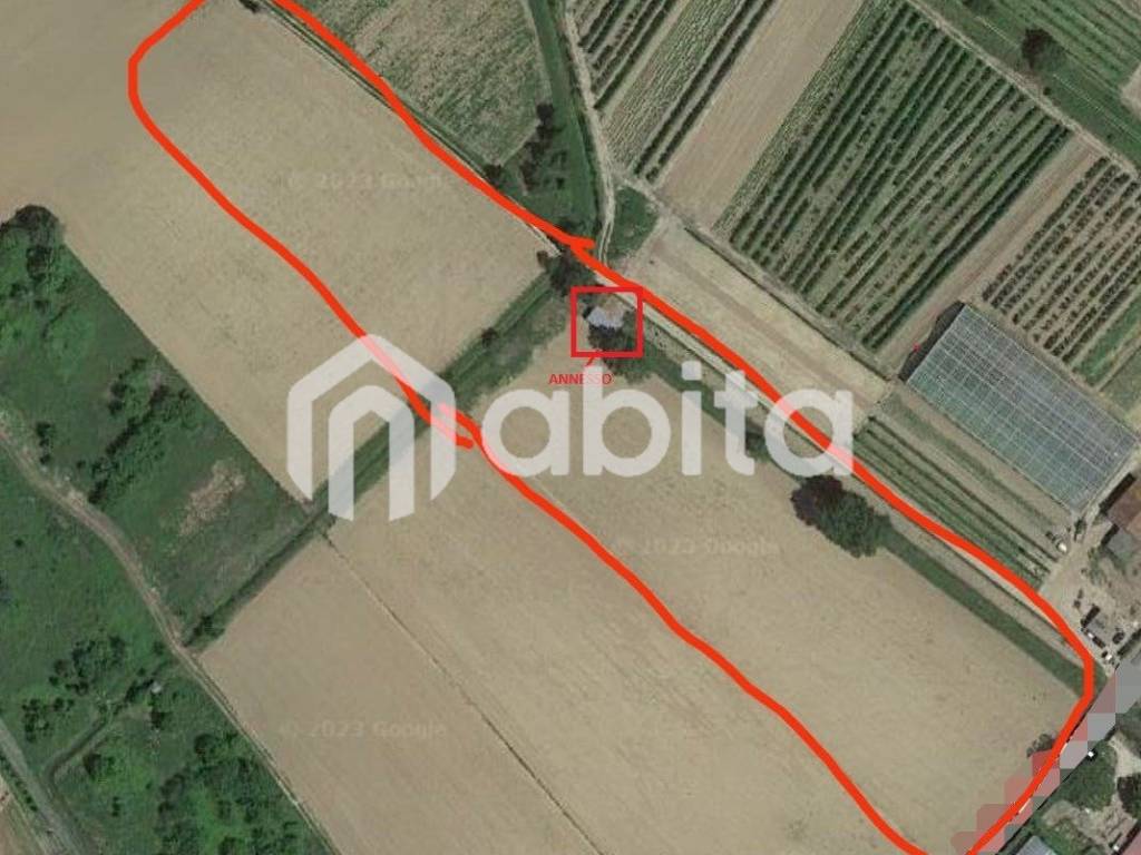 terreno agricolo in vendita a Montevarchi