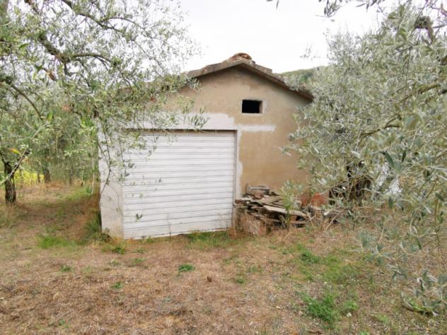 terreno agricolo in vendita a Montevarchi