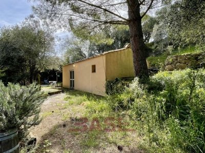 casa indipendente in vendita a Montevarchi