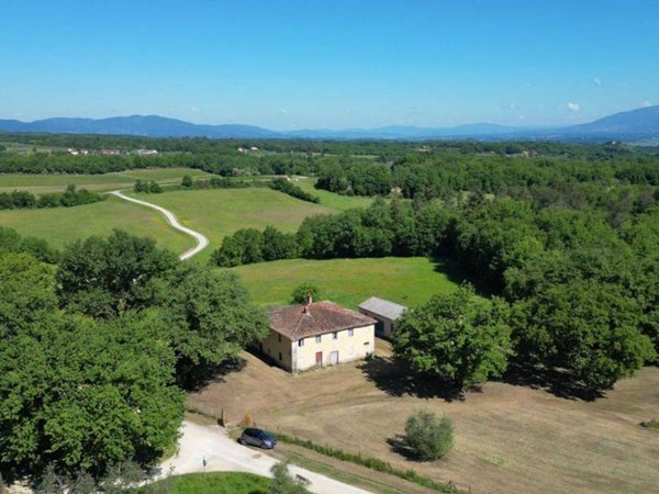azienda agricola in vendita a Montevarchi
