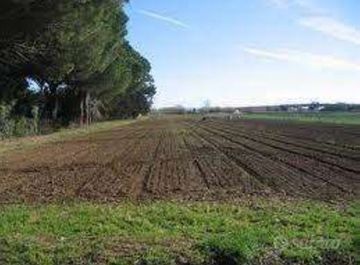 terreno agricolo in vendita a Montevarchi in zona Levane