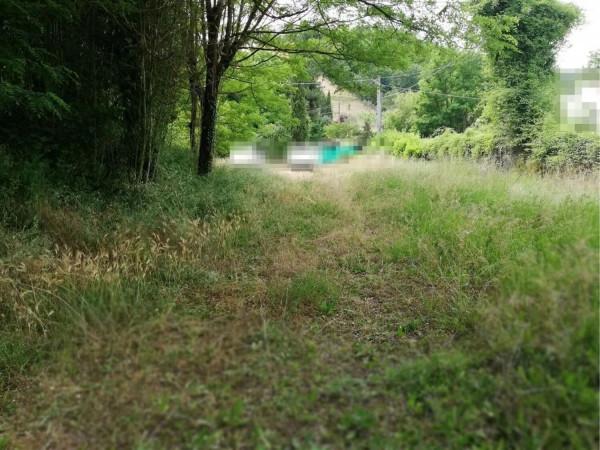 terreno agricolo in vendita a Montevarchi