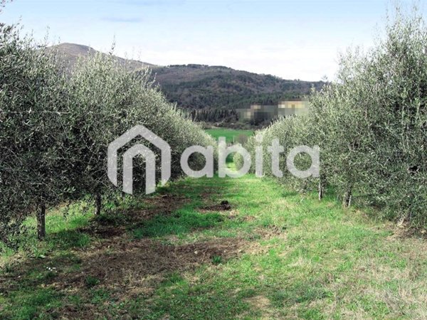 terreno agricolo in vendita a Montevarchi in zona Moncioni