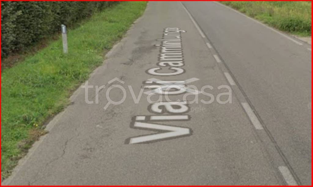 terreno agricolo in vendita a Montevarchi in zona Levanella