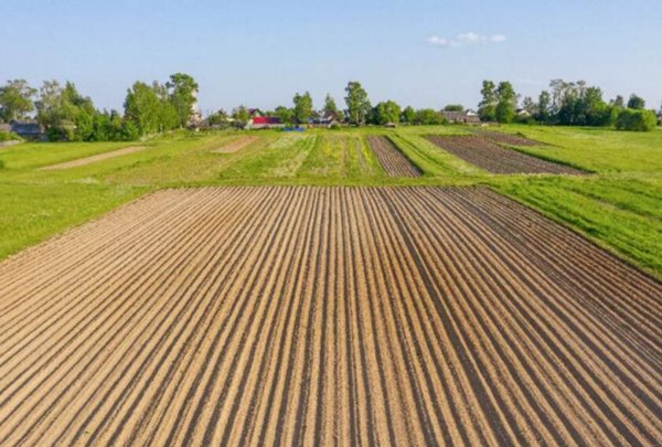 terreno agricolo in vendita a Montevarchi