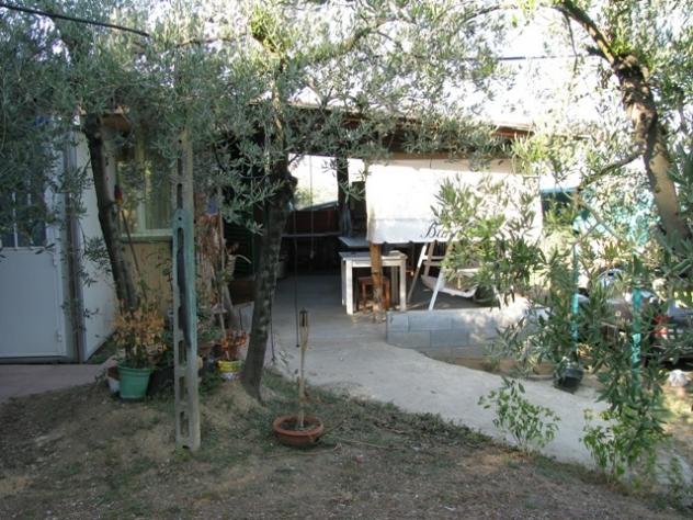 terreno agricolo in vendita a Montevarchi