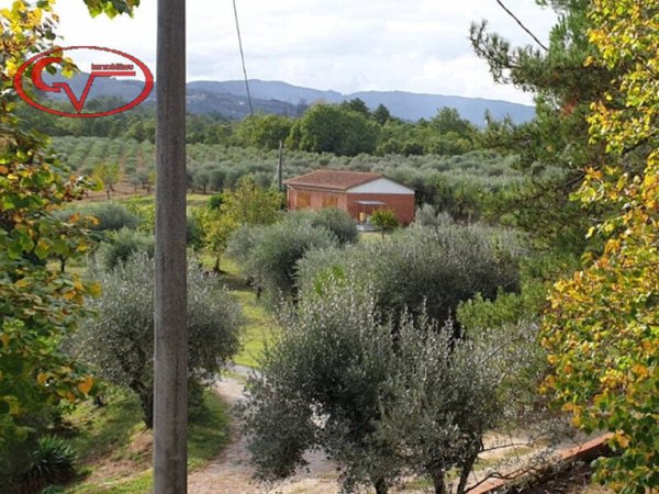 terreno agricolo in vendita a Montevarchi