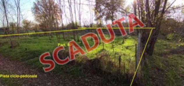 terreno agricolo in vendita a Montevarchi