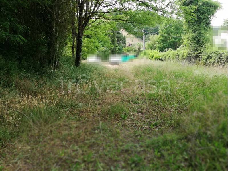 terreno agricolo in vendita a Montevarchi