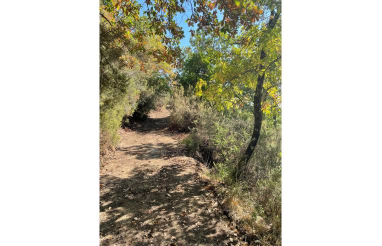 casa indipendente in vendita a Montevarchi in zona Moncioni