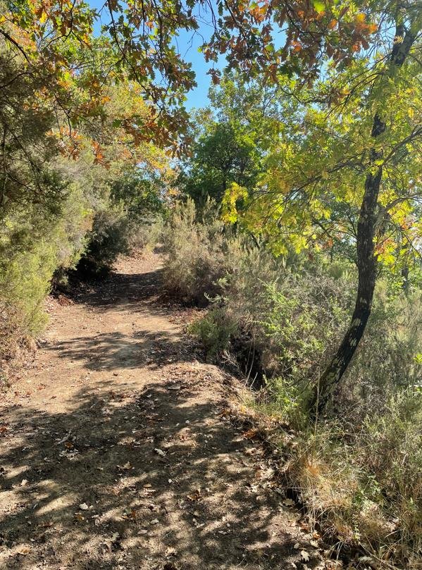 casa indipendente in vendita a Montevarchi in zona Moncioni