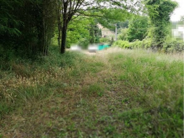 terreno agricolo in vendita a Montevarchi in zona San Tommè