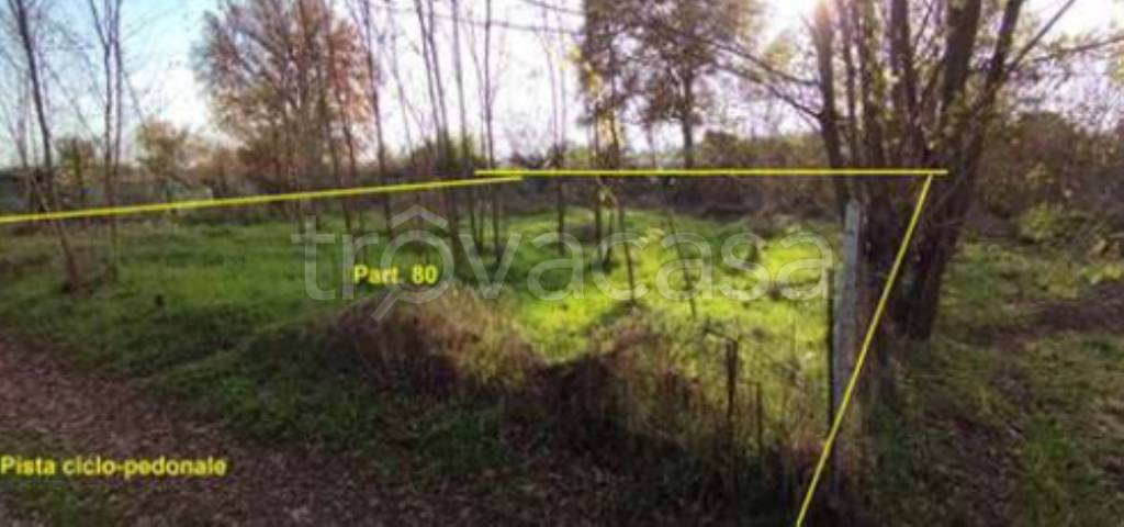 terreno agricolo in vendita a Montevarchi