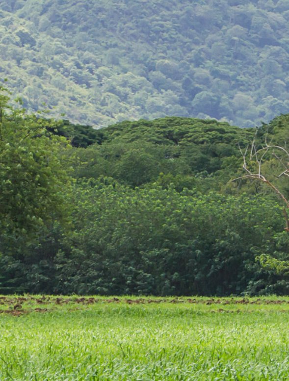 ufficio in vendita a Montevarchi