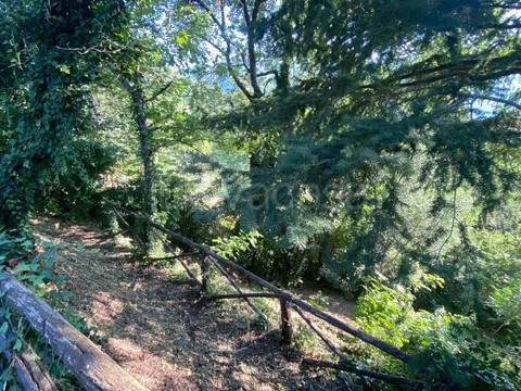terreno agricolo in vendita a Montevarchi in zona Moncioni