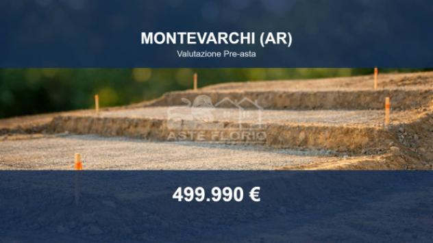 terreno agricolo in vendita a Montevarchi