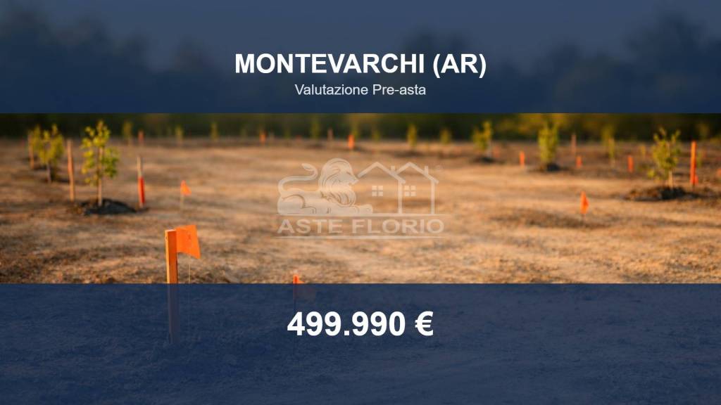 terreno agricolo in vendita a Montevarchi