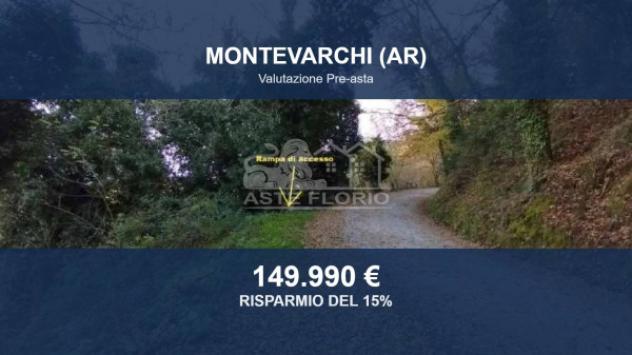 terreno agricolo in vendita a Montevarchi