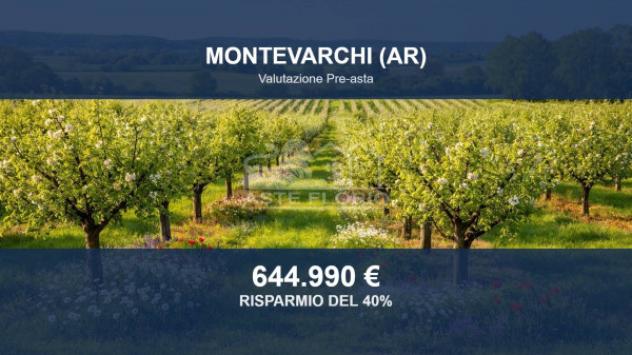 terreno agricolo in vendita a Montevarchi in zona Rendola