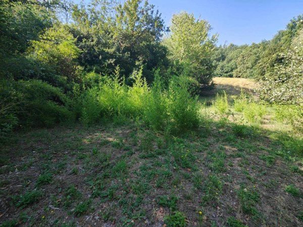 terreno agricolo in vendita a Montevarchi