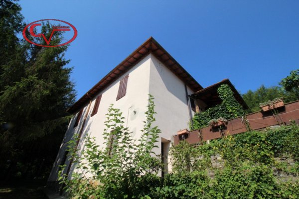 pentavano in vendita a Montevarchi in zona Levanella