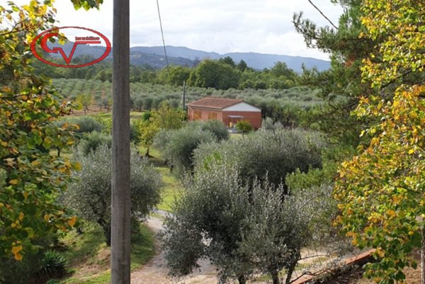 casa indipendente in vendita a Montevarchi in zona Levanella