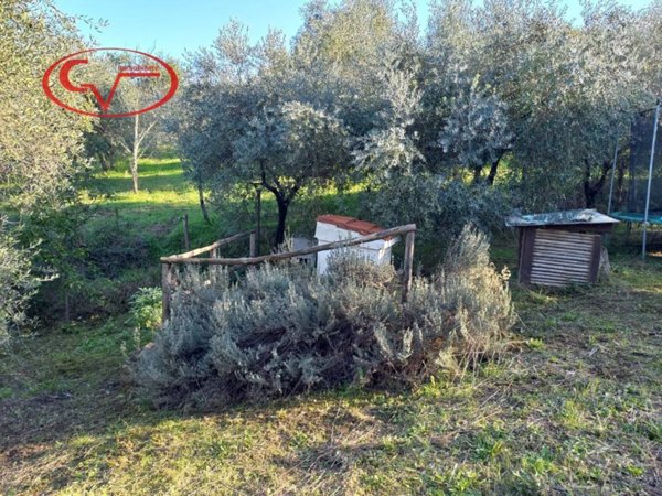 terreno agricolo in vendita a Montevarchi in zona Ventena