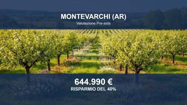 terreno agricolo in vendita a Montevarchi in zona Rendola