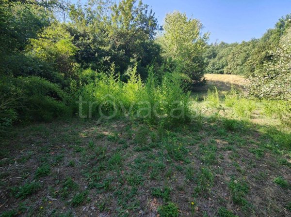 terreno agricolo in vendita a Montevarchi