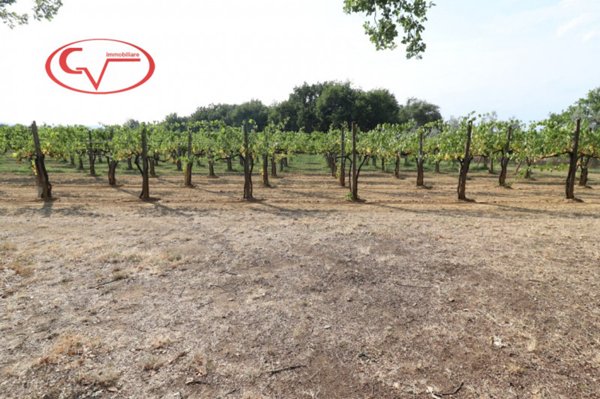 locale di sgombero in vendita a Montevarchi