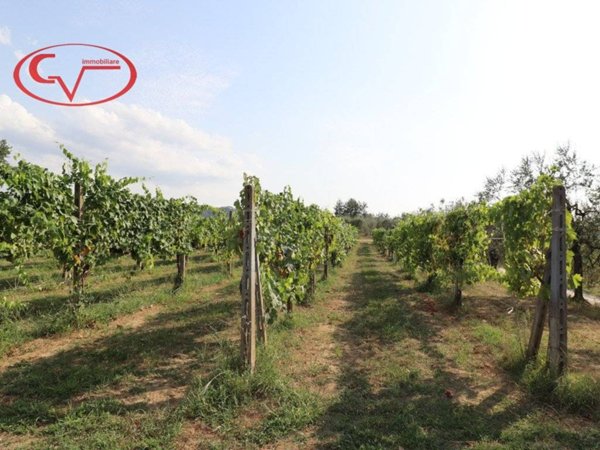 terreno agricolo in vendita a Montevarchi in zona Ricasoli