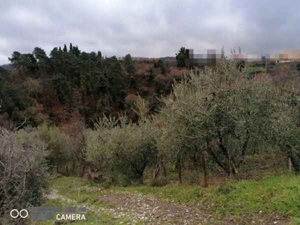 terreno agricolo in vendita a Montevarchi in zona San Tommè
