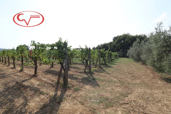 locale di sgombero in vendita a Montevarchi