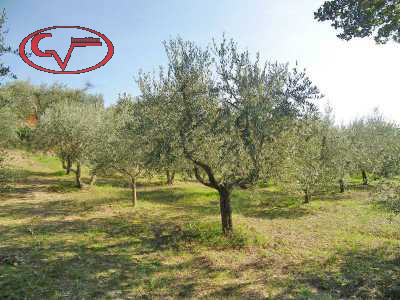 terreno in vendita a Montevarchi in zona Ricasoli