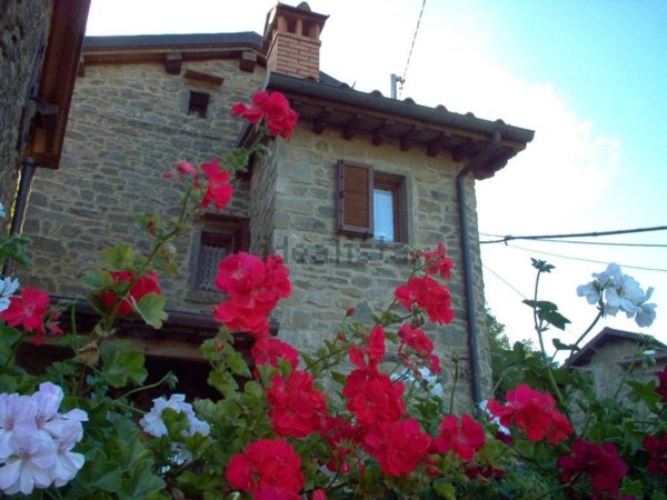 appartamento in vendita ad Ortignano Raggiolo