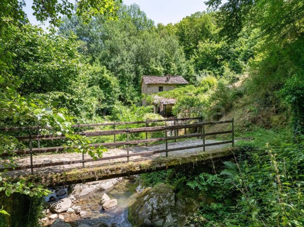 casa indipendente in vendita ad Ortignano Raggiolo