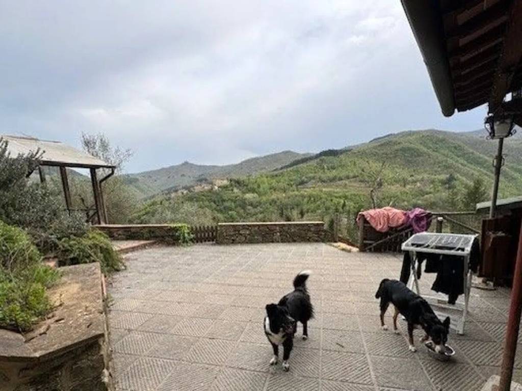 appartamento in vendita ad Ortignano Raggiolo