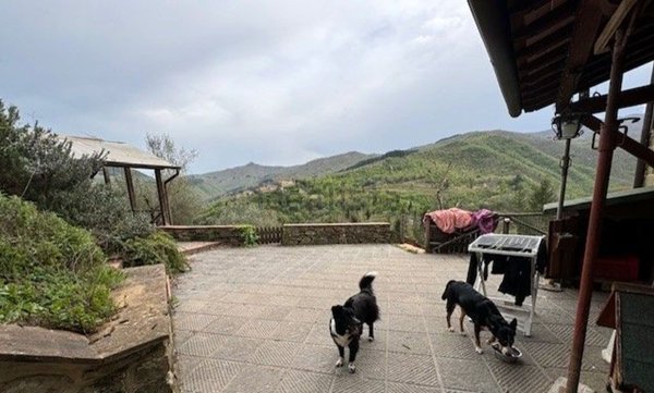 appartamento in vendita ad Ortignano Raggiolo