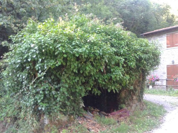 locale commerciale in vendita ad Ortignano Raggiolo in zona Raggiolo