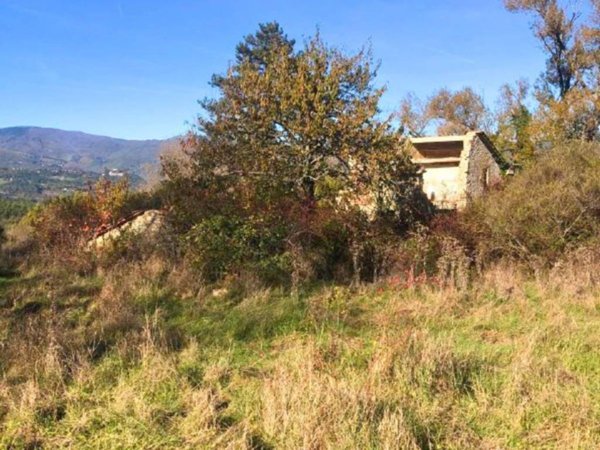 casa indipendente in vendita a Pieve Santo Stefano in zona Valsavignone