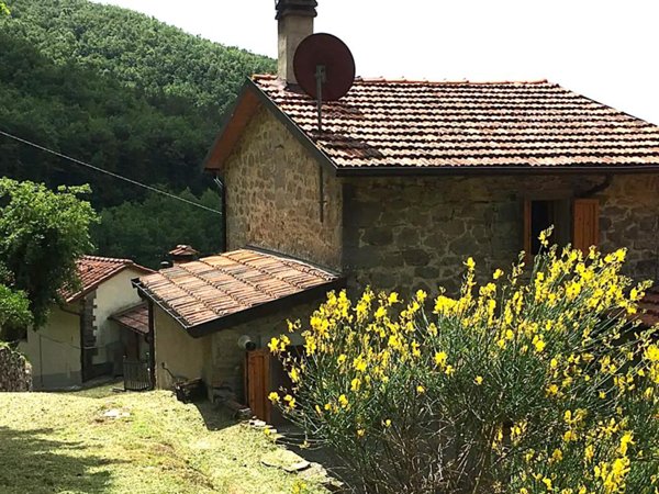 casa indipendente in vendita a Pieve Santo Stefano in zona Valsavignone