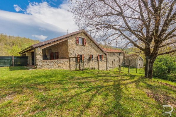 azienda agricola in vendita a Pieve Santo Stefano